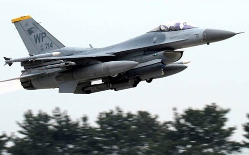 Südkorea und die USA starten größtes Luftwaffenmanöver - ảnh 1