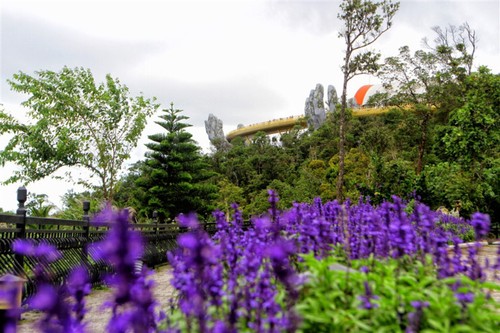 Cau Vang (Goldene Brücke) – Ein Bauwunder in Ba Na Hills - ảnh 10