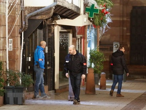 Täter in Straßbourg wurde mehrmals in Frankreich und Deutschland sowie in der Schweiz verurteilt - ảnh 1