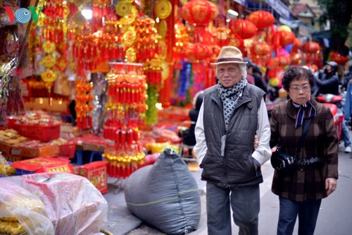 Die Stimmung in Hanoi vor dem Tet-Fest - ảnh 14