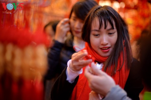 Die Stimmung in Hanoi vor dem Tet-Fest - ảnh 19