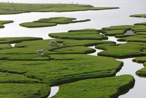 Mu Cang Chai ist eine der buntesten Landschaften weltweit - ảnh 4
