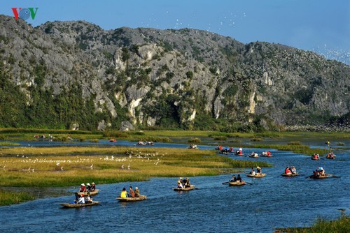 Entdecken die Naturschönheit des 9. Schutzgebietes Van Long- Ramsar in Vietnam - ảnh 1