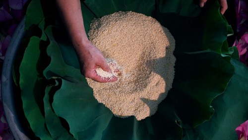 Aroma von Lotusblüten im Tee - ảnh 23