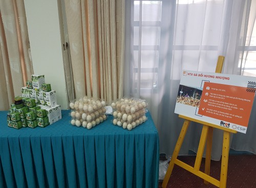 Projekt “Unterstützung von gemeinnützigen Unternehmen zugunsten der kreativen und nachhaltigen Entwicklung auf dem Land” - ảnh 1