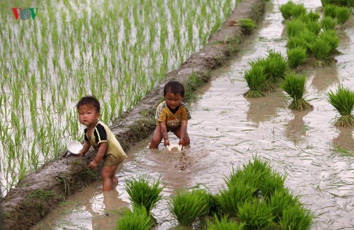 Mu Cang Chai, eines der schönsten Besuchsziele der Welt - ảnh 10