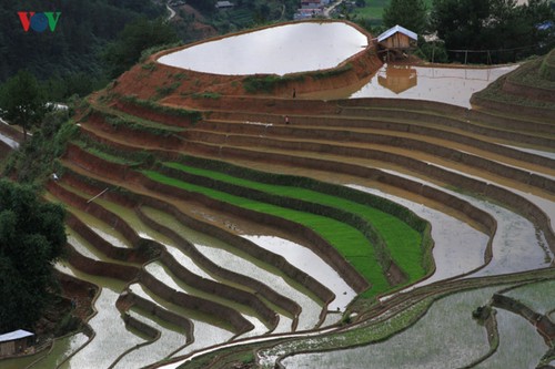 Mu Cang Chai, eines der schönsten Besuchsziele der Welt - ảnh 1