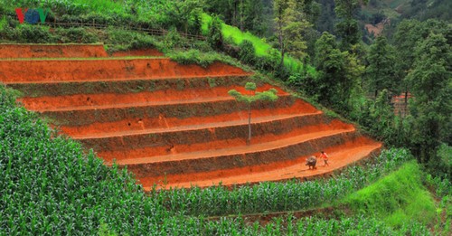 Mu Cang Chai, eines der schönsten Besuchsziele der Welt - ảnh 4