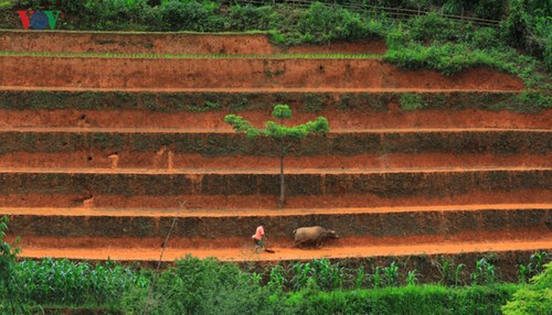 Mu Cang Chai, eines der schönsten Besuchsziele der Welt - ảnh 5