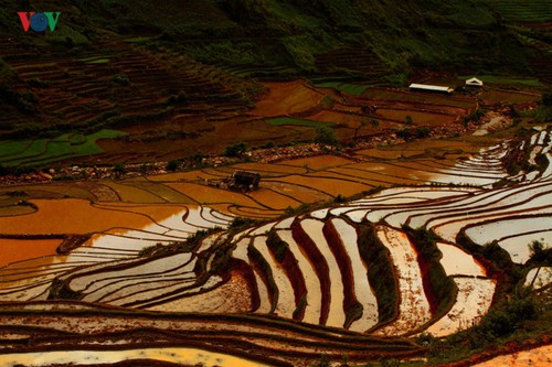 Mu Cang Chai, eines der schönsten Besuchsziele der Welt - ảnh 6