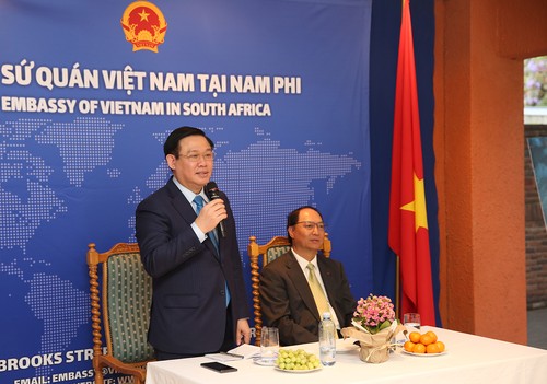 Vizepremierminister Vuong Dinh Hue besucht vietnamesische Botschaft in Südafrika - ảnh 1
