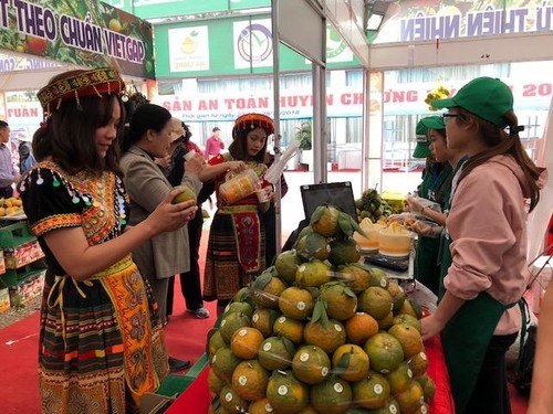 Woche der “Sanh-Orange” und OCOP-Produkte aus Ha Giang in Hanoi - ảnh 1