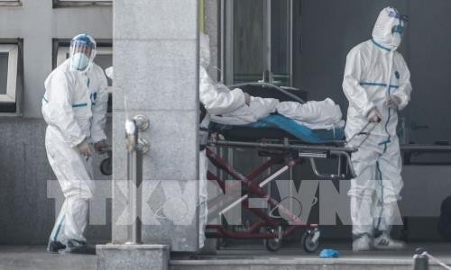 Viele chinesische Provinzen bereiten sich auf Verbreitung von Corona-Virus - ảnh 1