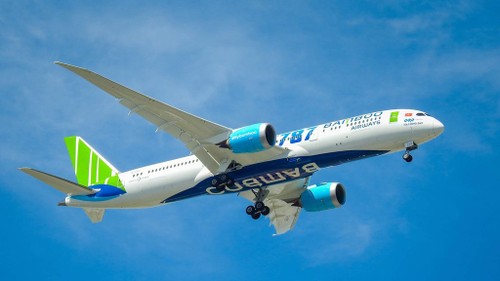 Bamboo Airways und tschechische Botschaft in Vietnam bringen europäische Bürger nach Hause - ảnh 1