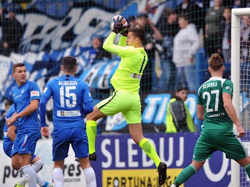 Filip Nguyen will in der vietnamesischen Nationalfußballmannschaft spielen - ảnh 1
