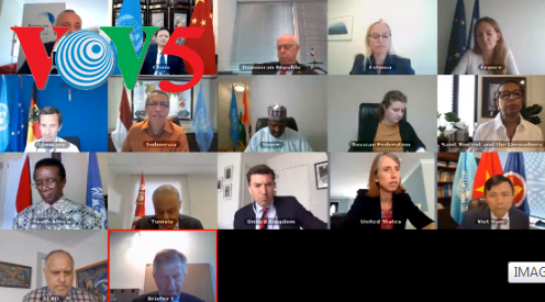 Vietnam ruft zum Friedensdialog und zur  Stabilität in Mali auf - ảnh 1