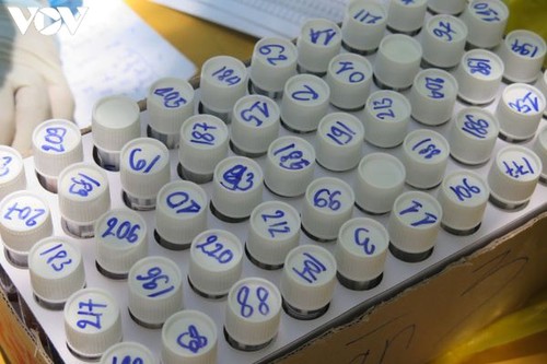 Danang beschleunigt Test in den Wohngemeinschaften - ảnh 1