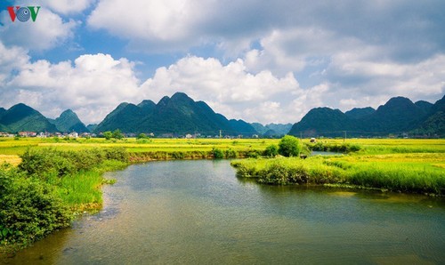 Bac Son in Gelb - ảnh 16