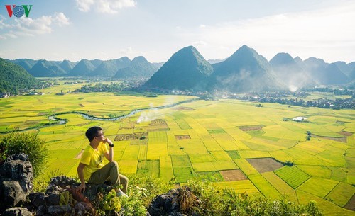 Bac Son in Gelb - ảnh 3