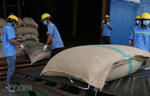 Vietnam und Algerien verstärken Online-Handel - ảnh 1