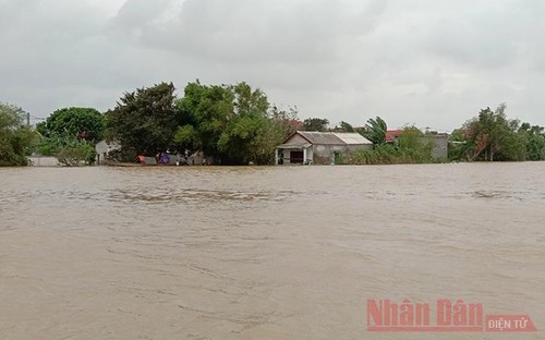 UNICEF hilft Kindern in Zentralvietnam mit 100.000 US-Dollar - ảnh 1