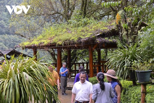 Friedliches Leben der Mong am Berg von Son Bac May - ảnh 1