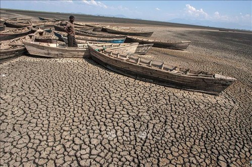 Dialog zwischen ASEAN und EU über Umwelt und Klimawandel - ảnh 1