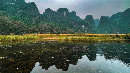 Drei Orte in Ninh Binh, die die Jugendlichen zum Tetfest unbedingt besuchen - ảnh 13