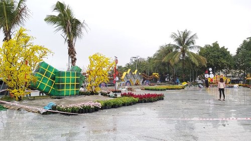 Phu Quoc beeilt sich mit dem Blumengarten Bach Dang - ảnh 1