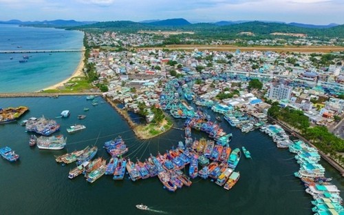 Viele Dienstleistungen für Touristen auf Phu Quoc - ảnh 1