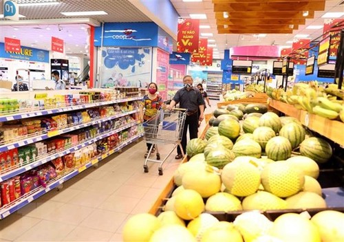 Deutsche Medien: COVID-19-Pandemie in Vietnam unter Kontrolle - ảnh 1