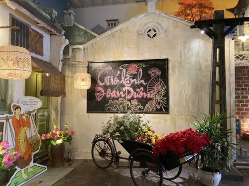 Online-Ausstellung über Doan Ngo-Fest - ảnh 1