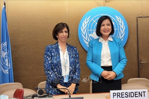 Vietnam ist Vizevorsitzender der 5. Sitzung der Experten der UNCTAD-Regierungen - ảnh 1