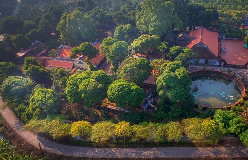 Schönheit des vietnamesischen Erbes der Fotografin Minh Hai - ảnh 4