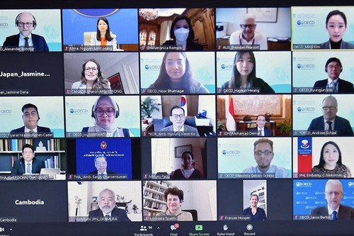 Vietnam ist zum Ko-Vorsitzenden des Südostasien-Programms von OECD 2022-2025 gewählt - ảnh 1