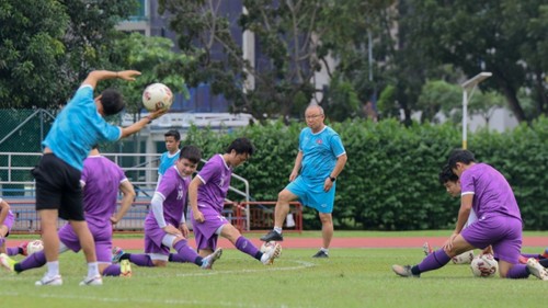 Trainingstermine der vietnamesischen Fußballmannschaft für Spiele gegen Australien und China - ảnh 1