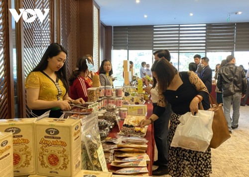 Son La fördert den Obstkonsum - ảnh 1