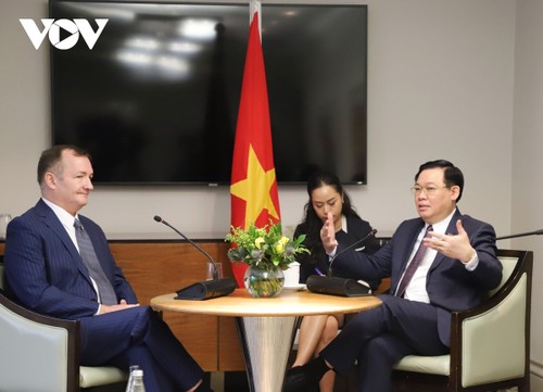 Parlamentspräsident Vuong Dinh Hue trifft britische Investoren in Vietnam - ảnh 1