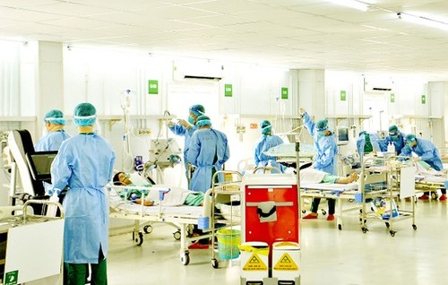 WHO empfiehlt Maßnahmen zur Vorbeugung der COVID-19-Pandemie während des Tetfests - ảnh 1