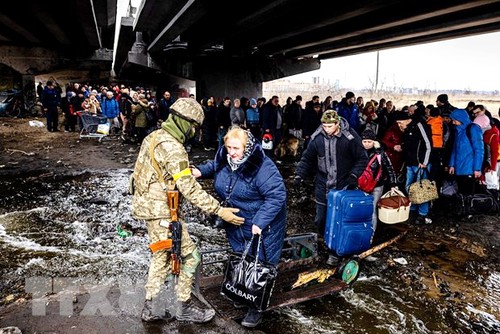 UNO ruft zur Verstärkung der Hilfe für Ukraine auf - ảnh 1