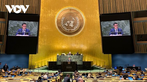 Vietnam ruft zur Friedenslösung für Ukraine auf - ảnh 1