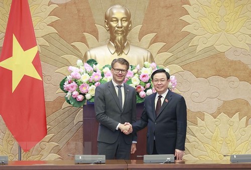 EU ist einer der wichtigsten Partner in der Außenpolitik Vietnams - ảnh 1