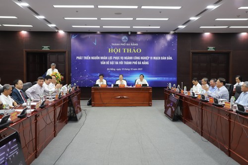 Da Nang bevorzugt Entwicklung der Halbleiterindustrie - ảnh 1