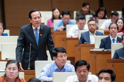 Verbreitung der medizinischen Fernuntersuchung und -behandlung  - ảnh 1