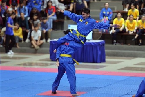 Vovinam als immaterielles Kulturerbe anerkannt - ảnh 1