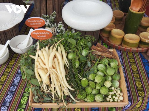 Kontum organisiert einen Kräuter-Wettbewerb - ảnh 1
