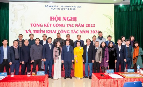 Erfolgreiches Jahr des vietnamesischen Sports - ảnh 1