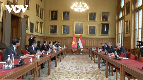Vietnam ist ein wichtiger Partner Ungarns in Südostasien - ảnh 1