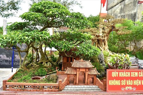 Ausstellung der Zierpflanzen und -tiere 2024 - ảnh 1