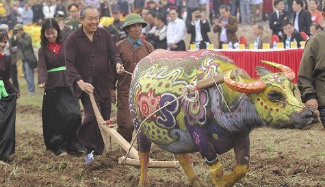 ຮອງນາຍົກລັດຖະມົນຕີຜູ້ປະຈຳການລັດຖະບານເຈືອງຮ່ວາບິ່ງເຂົ້າຮ່ວມແລະປະຕິບັດພິທີລົງໄຖນາຢູ່ແຂວງຮ່ານາມ - ảnh 1